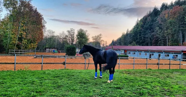 Centro Ippico i Salici