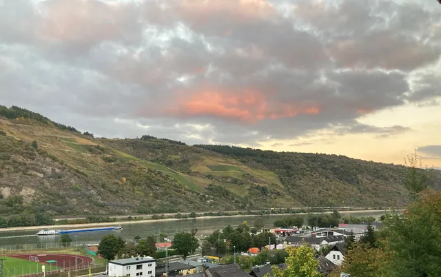 Ferienwohnung Rheinblick 549