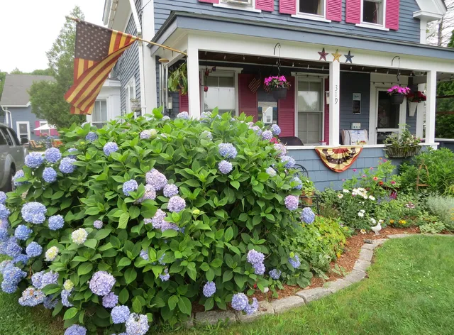 Saltwinds Bed & Breakfast and Guest House