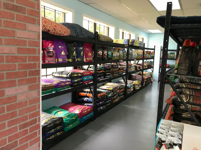 What's Up Dog? Miramar Beach