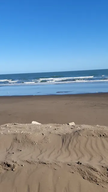 Dolphin Dunes Aparts