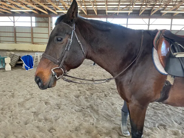 Winter Haven Equestrian Center