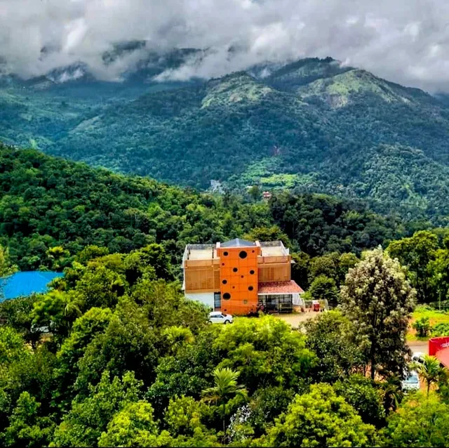 Palmtree Leaf |The Boutique Resort- Munnar