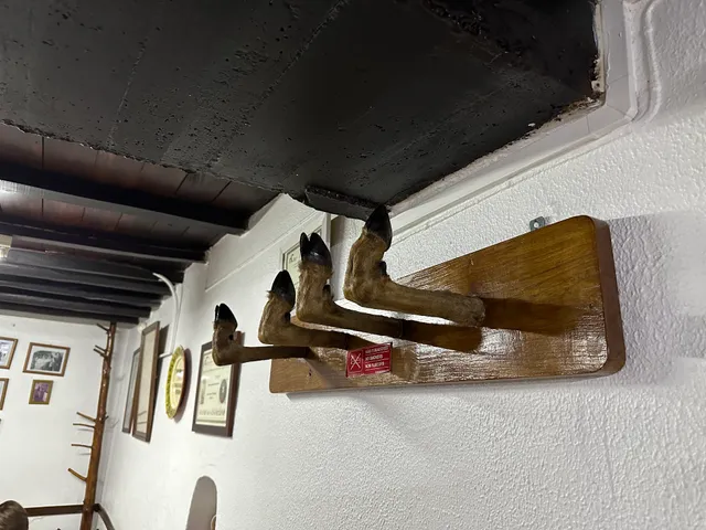 photo-3