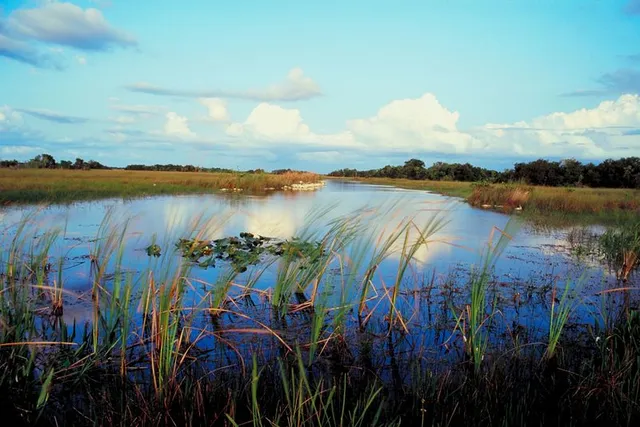 Everglades Excursions