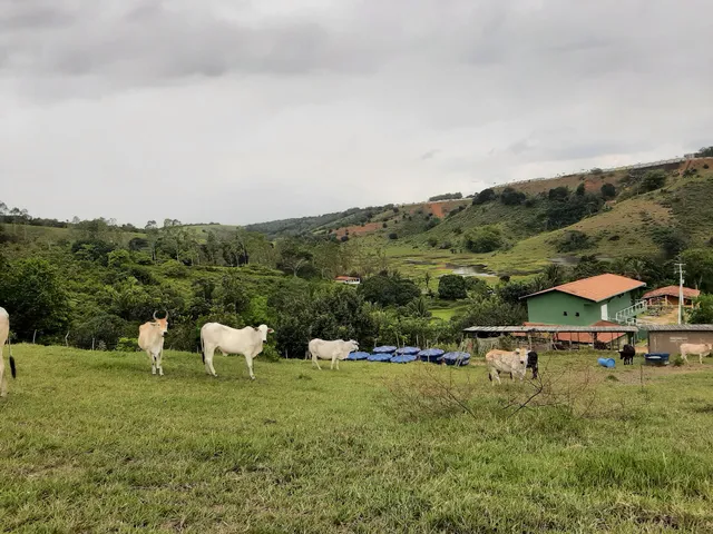 Portal Amor e Consciência - Eventos, Terapia e Hospedagem