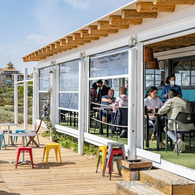 Okapi in the paradise