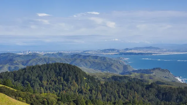 Mount Tamalpais State Park
