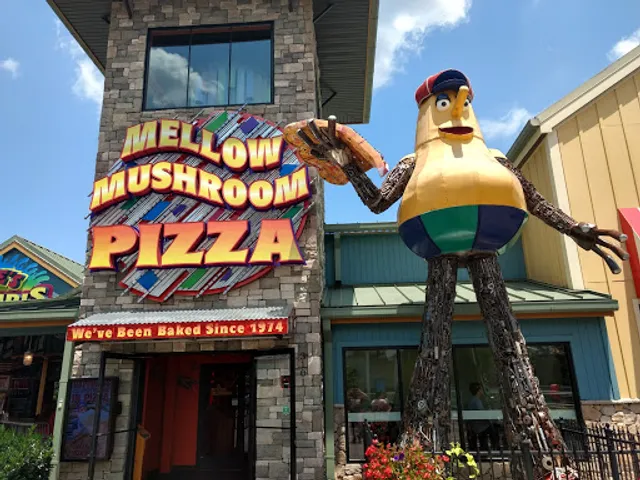 Mellow Mushroom Pigeon Forge Island