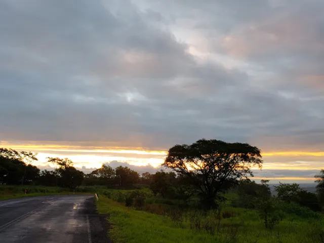 Espetinho Bella Brasa (Marinho)