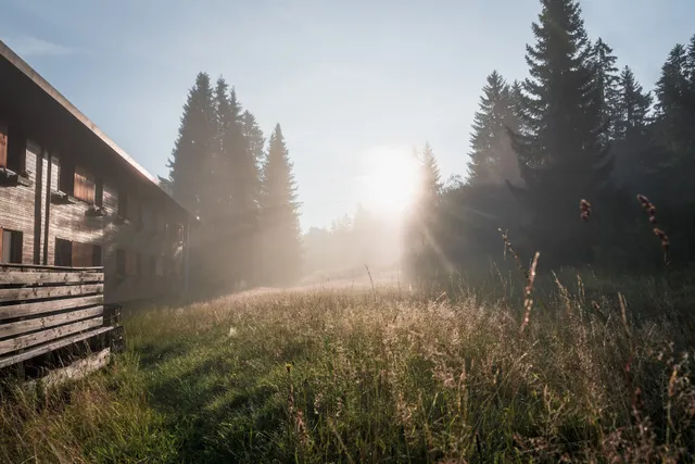 Friends of Saanenwald