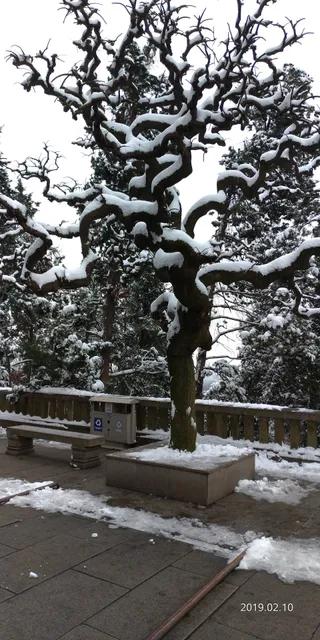 国际会议大酒店玫瑰园