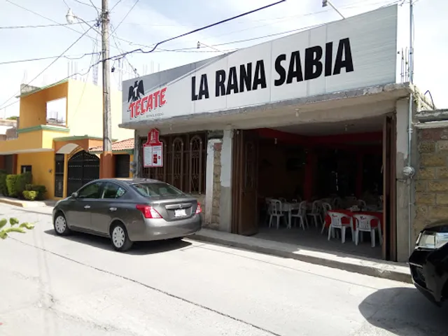 La Rana Sabia