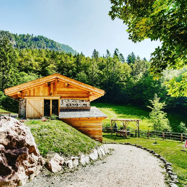 ODOMI MASO NEL BOSCO - Eleganza e Relax nella Natura CIN IT022168C2Z3WLYBVR
