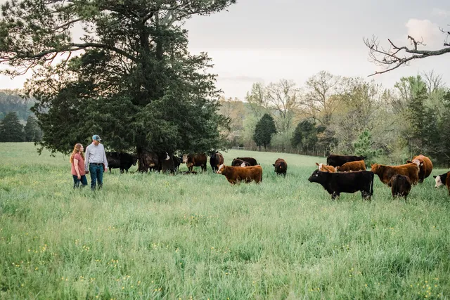 Thousand Hills Family Farm