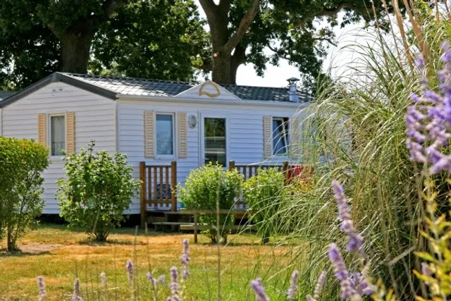 Camping Frédéric Mistral