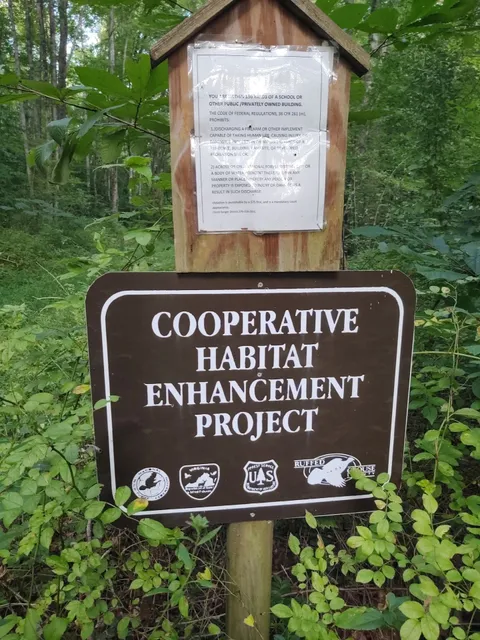 Forest Road Trail (#283)