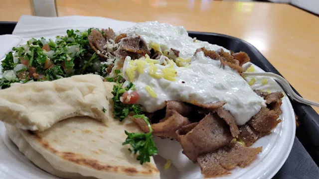 Gyro & Philly Steak