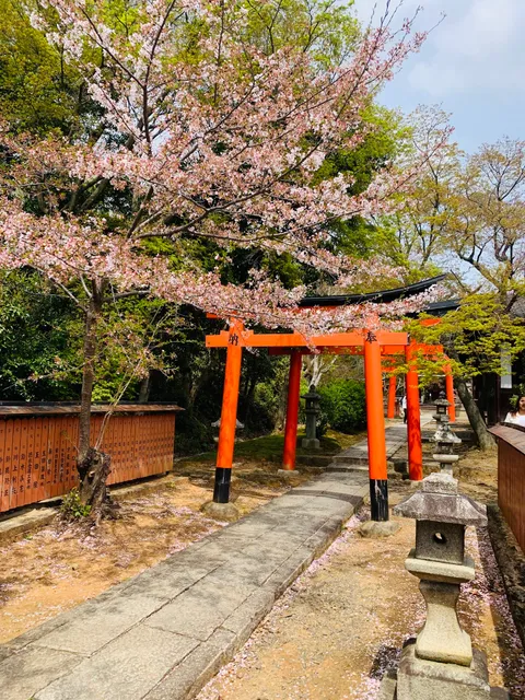 Takenaka inari shrine Torii