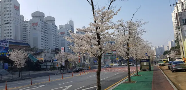 Paris Baguette Sanghyeon Hillstate Branch