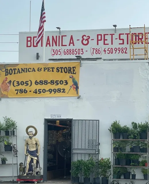 Kenia's Nusery & Sod