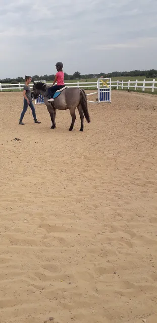 Gospodarstwo Agroturystyczne - Milejewko