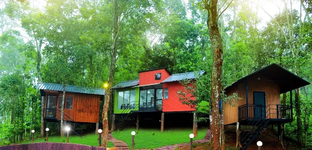 Jungle Beats Resorts