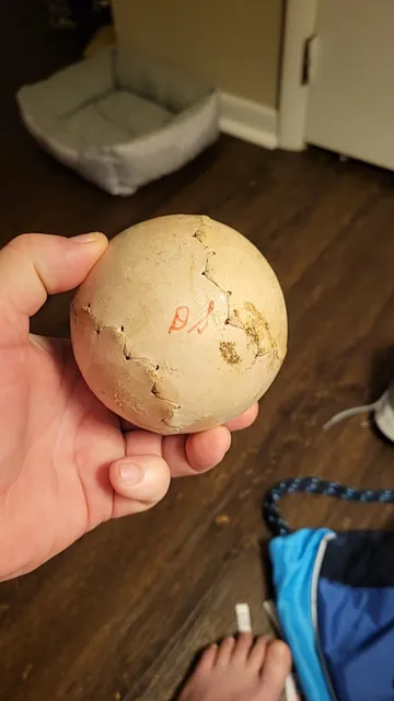 Police Athletic League, Inc. Edward Byrne Center