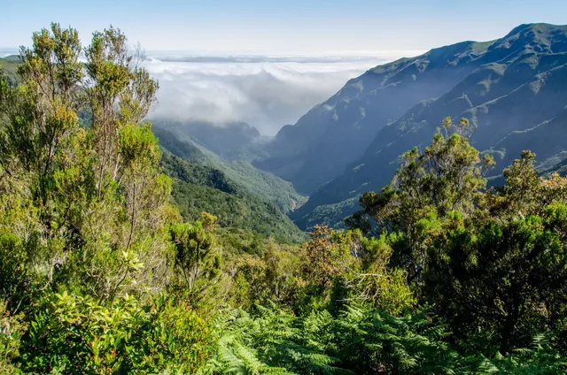 PR13 Vereda do Fanal