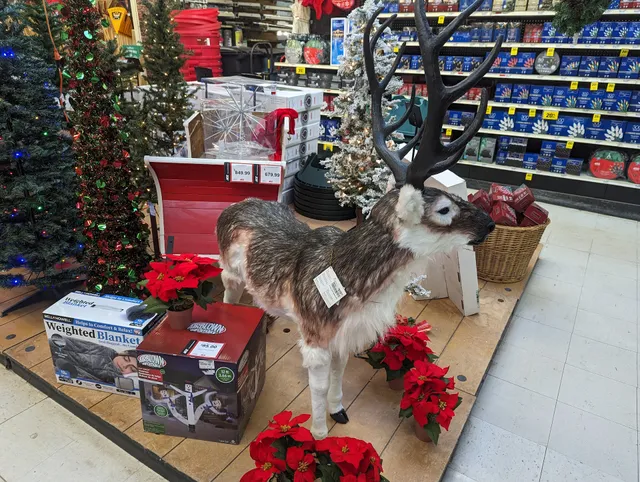 Kelly's Ace Hardware