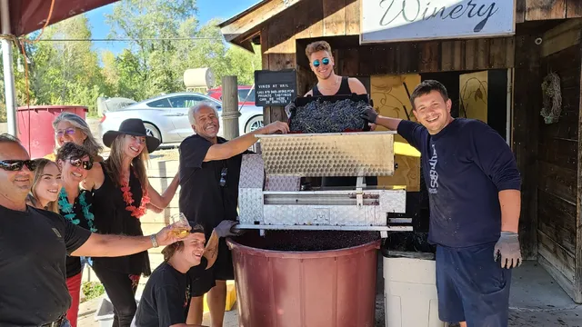 Vines at Vail Winery