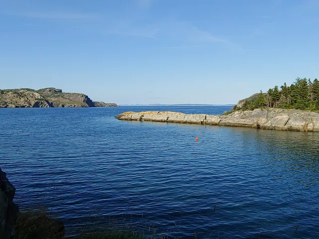 Harbour Main-Chapel's Cove-Lakeview