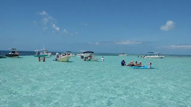 Casual Monday Charters