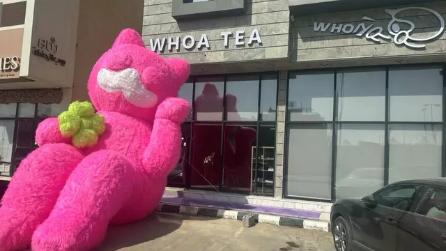 WHOA TEA-واو تي (Yasmin)