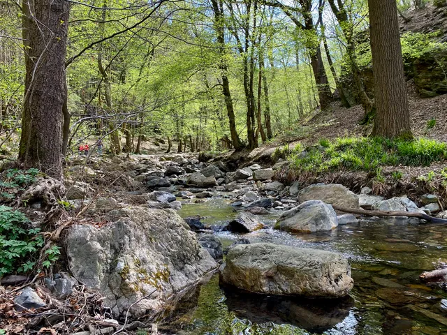 Balade du Ninglinspo