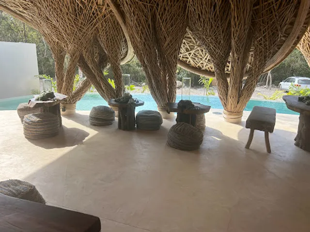 MOTMOT Restaurant, Coffee and cenote Bar