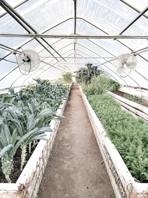 Kraay's Market & Garden