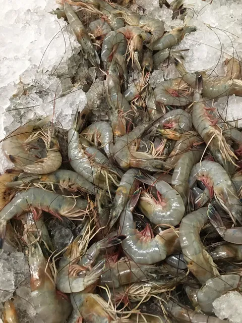 Pamlico Packing Co., Inc.