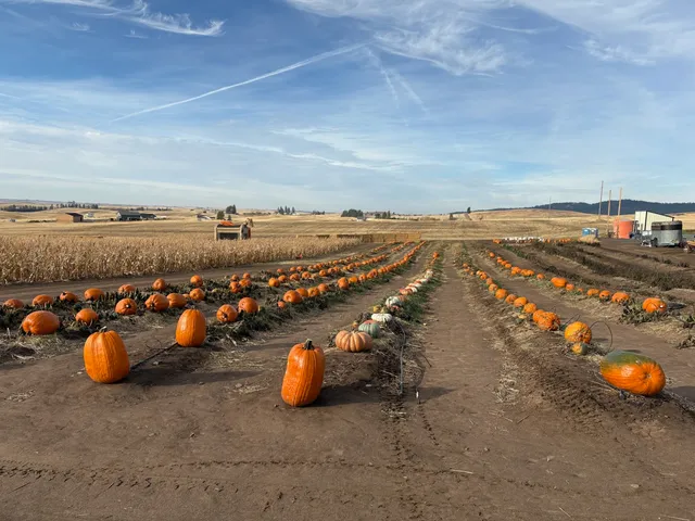 The Back 40 Farm on Elder Road