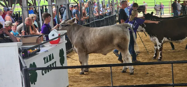 Tama County Fairgrounds