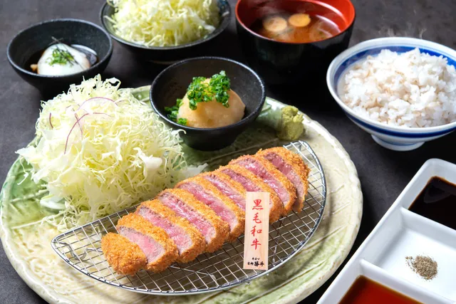 GYUKATSU Kyoto Katsugyu Harumi Triton