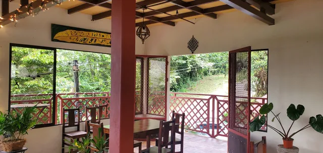 Geckos at the Waterfall