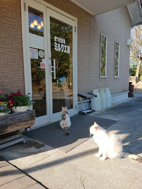 まつだ牧場 ミルク工房