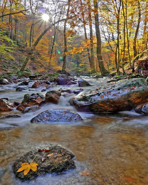 Ferienwohnung Hage Wolfshagen