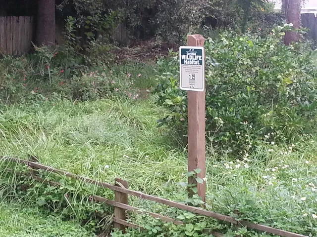 The Habitat House Concerts