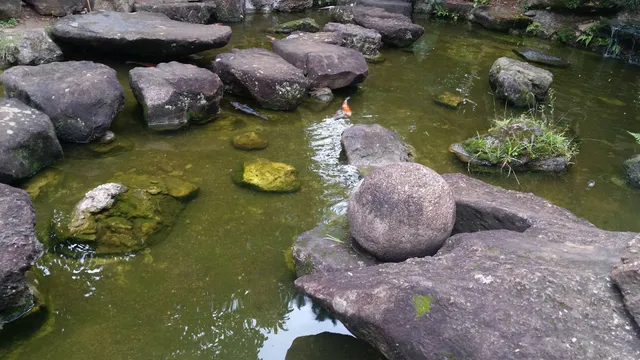 ZEN SHIN SHIATSU MASSAGE