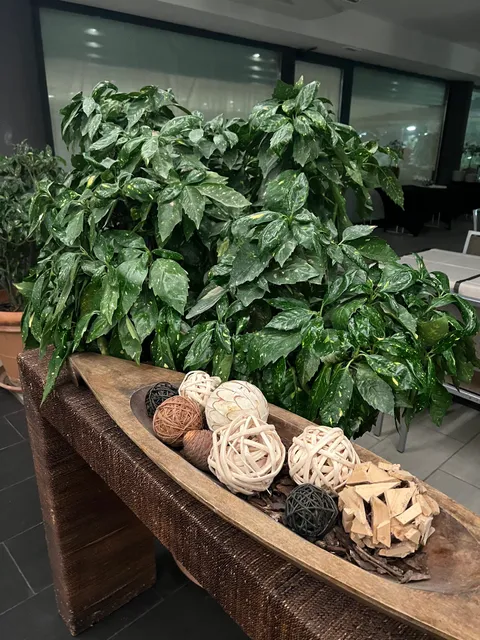 photo-1