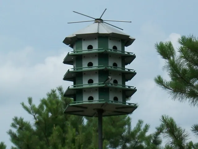 Belhaven Lake RV Resort