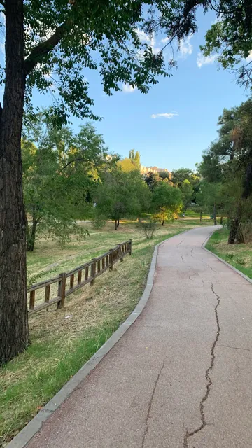 Canino Polígono Las Mercedes Park