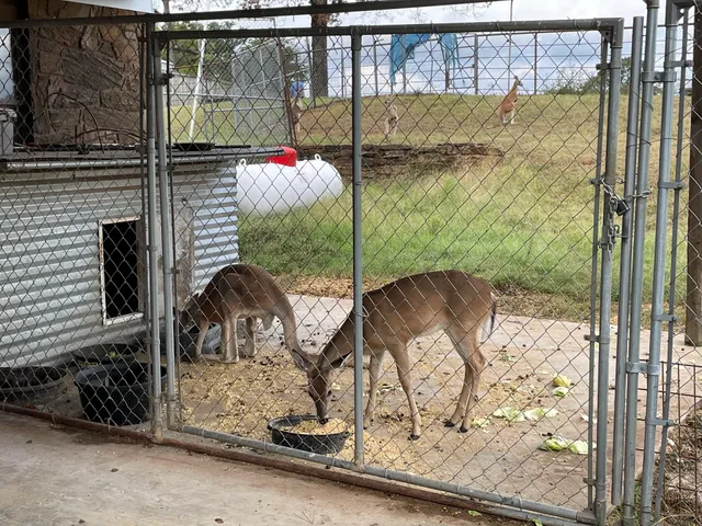 Rebel Hill Guest Ranch